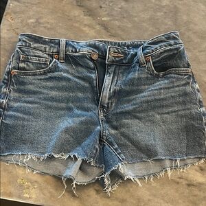 American Eagle Outfitters Blue Frayed Jean Shorts